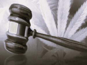 ReduceRiskLegal-RubySharma01