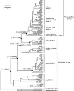 A History of Rabies in the Western Hemisphere from the 15th Century ...