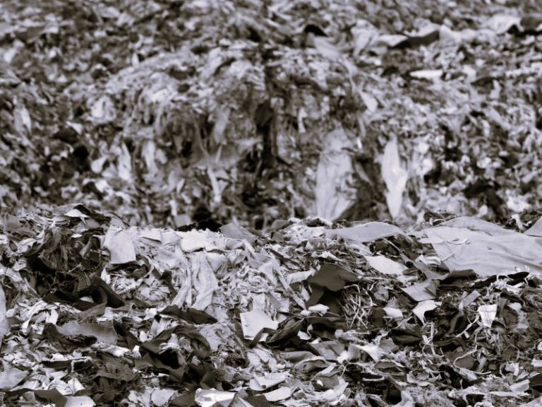 101622-29-Climate-Change