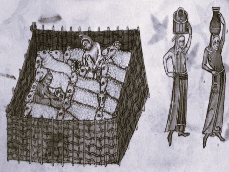 103022-82-History-Medieval