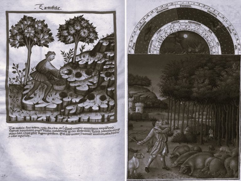 110622-51-History-Agriculture