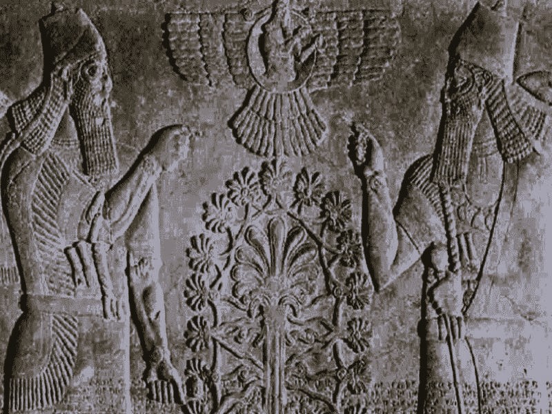 Cannabis and the Endocannabinoid System since the Ancient World