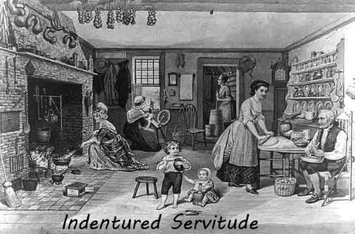 indentured servants in southern colonies