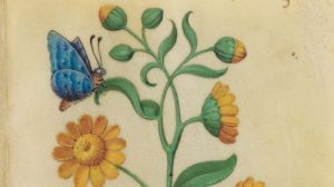 The Uses and Meanings of Flowers in Medieval Gardens - Brewminate: A