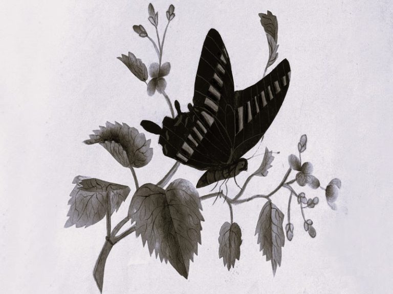 112322-10-History-Nature