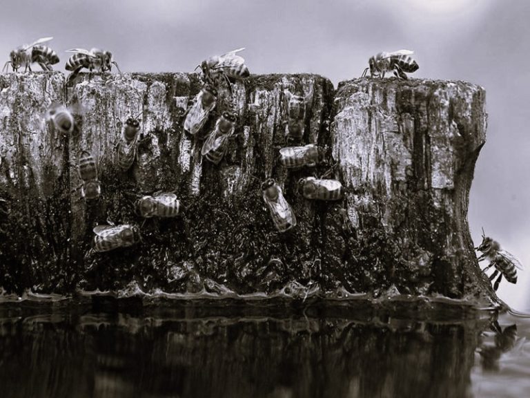 112522-17-Climate-Change