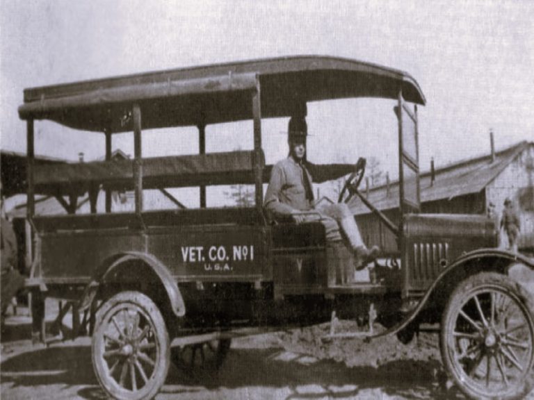 112522-50-History-Animals