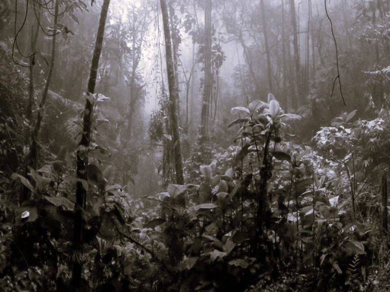 112922-13-Climate-Change