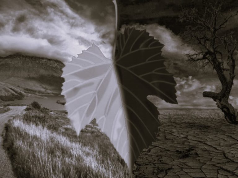 113022-01-Climate-Change