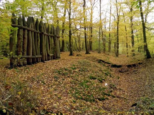 Carole Raddato’s open access photo of reconstructed fence along the German frontier