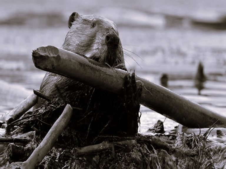 120222-01-Climate-Change