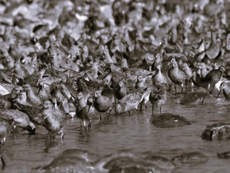 120222-12-Climate-Change