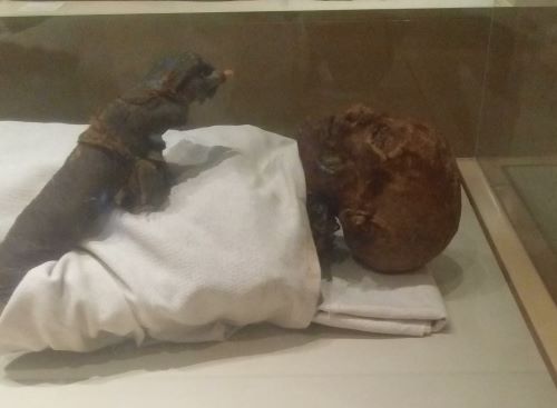 The KV60A mummy, thought to be that of Hatshepsut