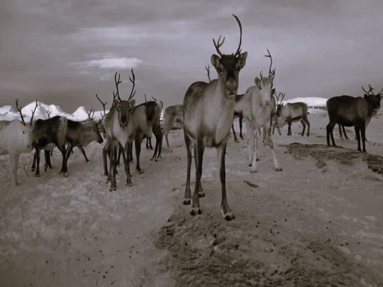 121422-08-Climate-Change