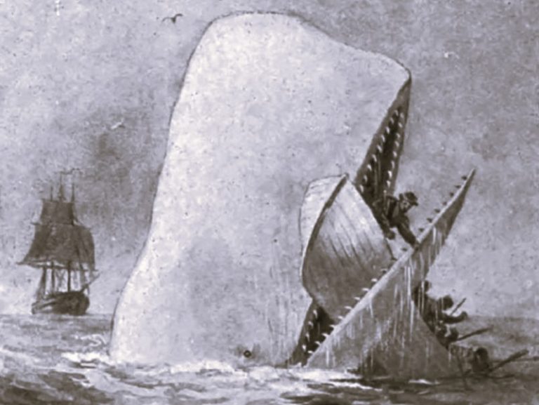 122022-15-History-Animals