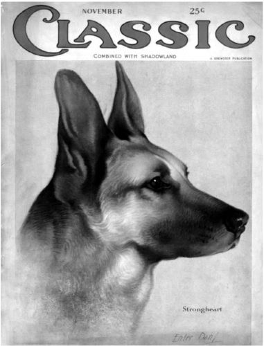 The Dogs Who Saved Hollywood: Strongheart and Rin Tin Tin