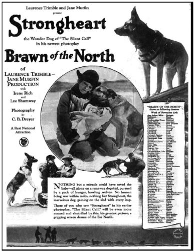The Dogs Who Saved Hollywood: Strongheart and Rin Tin Tin