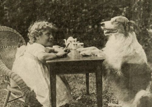 The Dogs Who Saved Hollywood: Strongheart and Rin Tin Tin