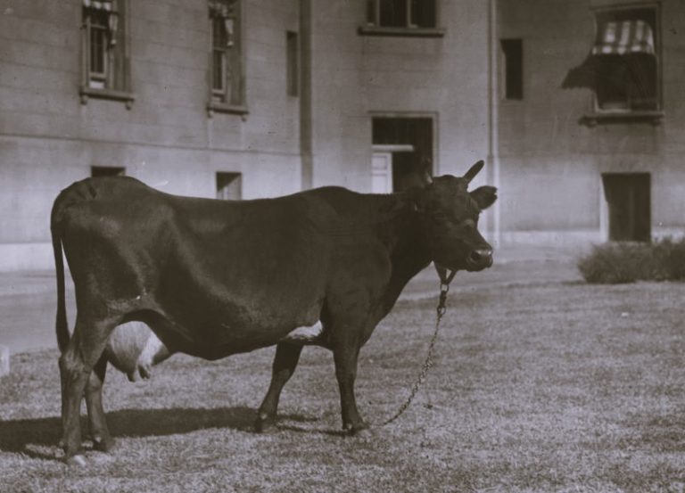 122322-27-History-Agriculture