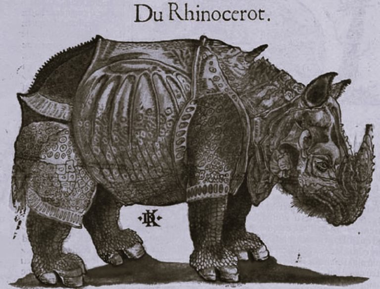 122622-23-History-Animals