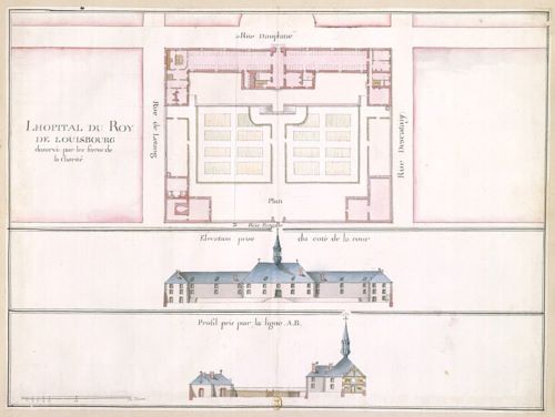 Disease, Medicine, and Treatment in Early Modern New France 36 Disease, Medicine, and Treatment in Early Modern New France