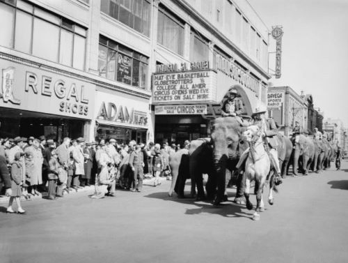Barnum and Bailey: The Circus Spectacular That Spawned American Giantism 4 Barnum and Bailey: The Circus Spectacular That Spawned American Giantism