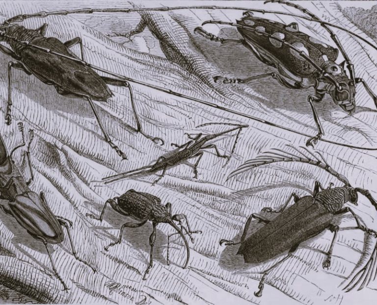 010723-22-History-Science