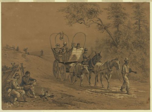 Susie King Taylor: The First Black Nurse in the United States Army during the Civil War