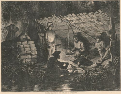 Susie King Taylor: The First Black Nurse in the United States Army during the Civil War