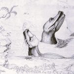 011123-56-History-Environment