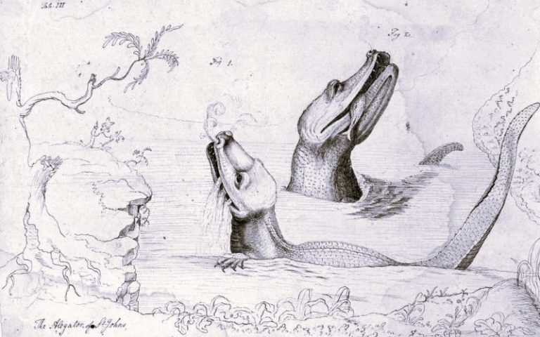 011123-56-History-Environment