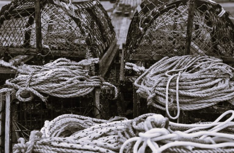 011223-38-Climate-Change