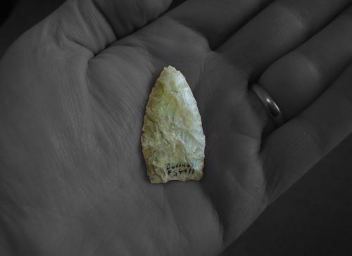 The First Americans: Humanity's First Steps into the North American Continent 13 The First Americans: Humanity's First Steps into the North American Continent