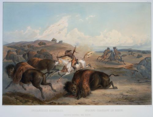 Art, Maps, and Empire in the American West and Mexico