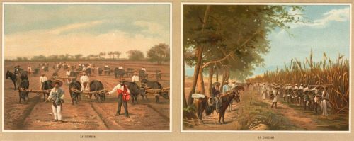 Art, Maps, and Empire in the American West and Mexico