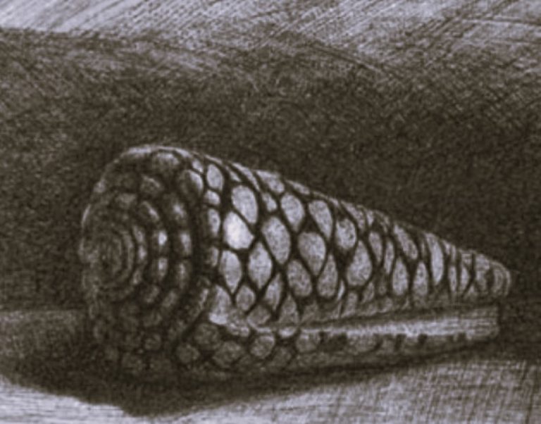 012223-67-History-Art