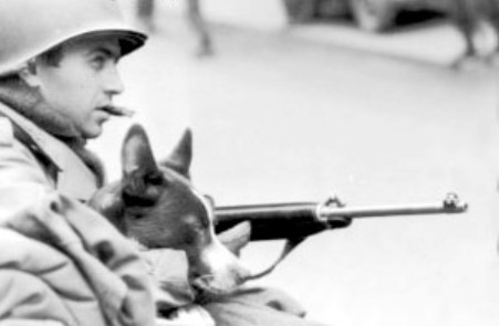 Buddies: Soldiers and Animals in World War II