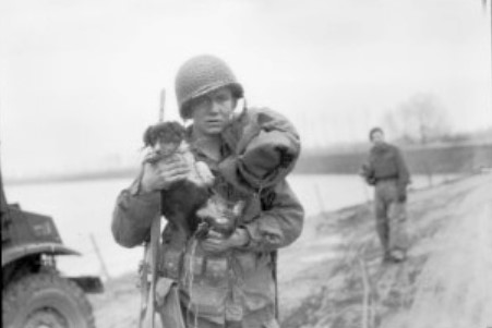 Buddies: Soldiers and Animals in World War II