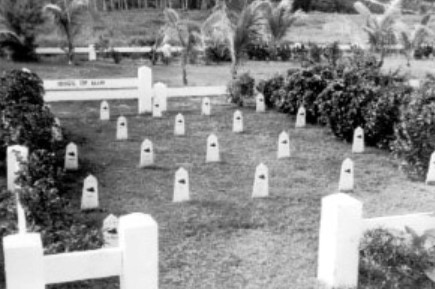 Buddies: Soldiers and Animals in World War II