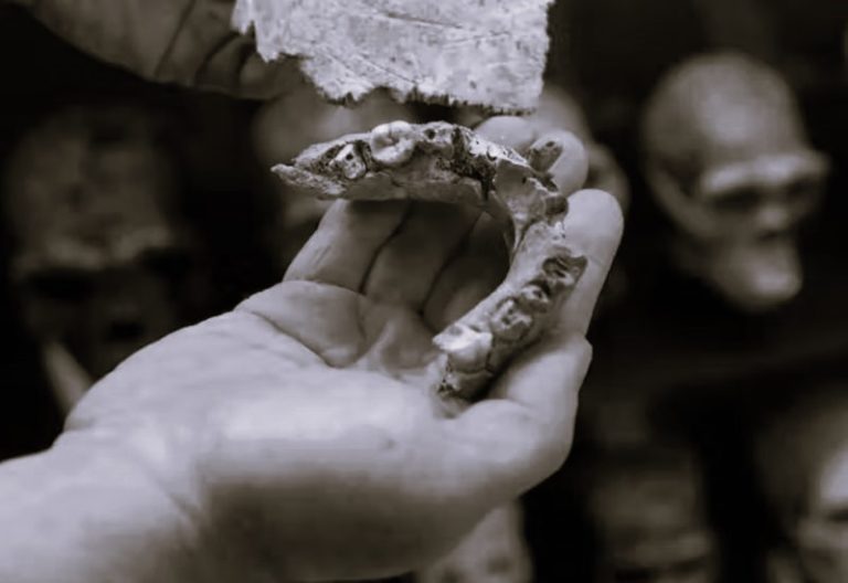 012523-63-History-Evolution