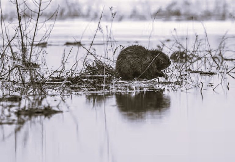 012723-37-Climate-Change