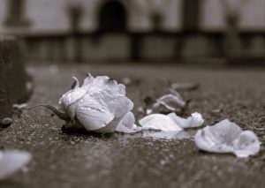 DealingLossLovedOne-Mammna01