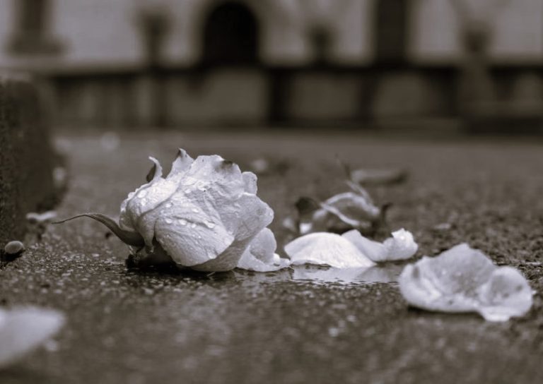 DealingLossLovedOne-Mammna01