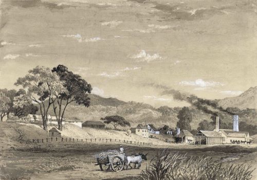 Hacienda La Fortuna: A Sugar Plantation in Puerto Rico in the 19th Century 4 Hacienda La Fortuna: A Sugar Plantation in Puerto Rico in the 19th Century