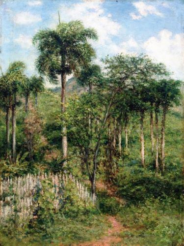 Hacienda La Fortuna: A Sugar Plantation in Puerto Rico in the 19th Century 7 Hacienda La Fortuna: A Sugar Plantation in Puerto Rico in the 19th Century