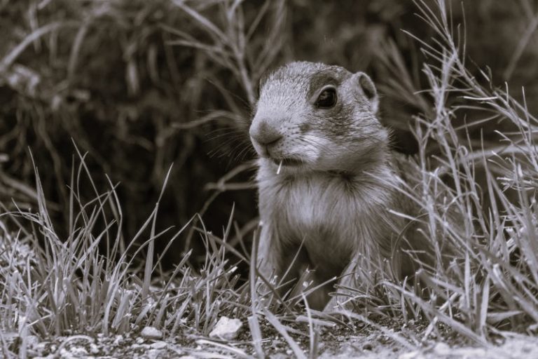 020723-01-Climate-Change