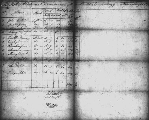 Native Americans in the Antebellum U.S. Military: From Revolution to Mexico