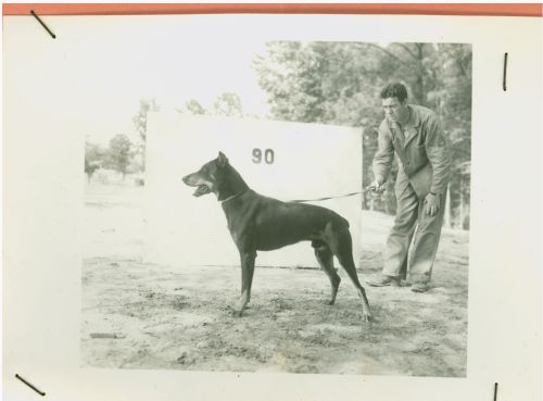 Let the Records Bark!: Dogs in the Marine Corps in World War II 2 Butch poses with his handler