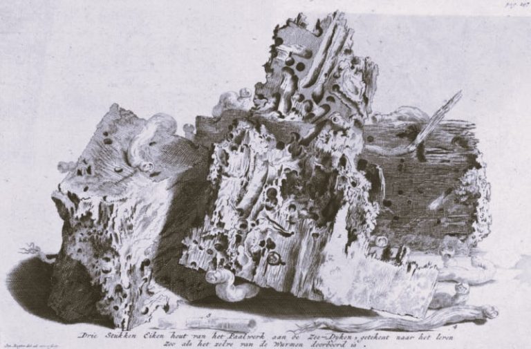 021623-12-History-Disease