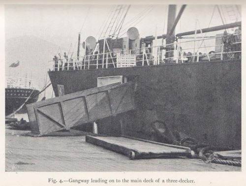 Horses from the United States in the South African War, 1899–1902